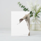 Weimaraner 2 postkarte (Stehend Vorderseite)