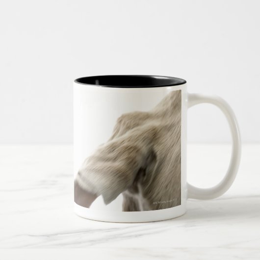 Weimaraner 2 zweifarbige tasse (Rechts)