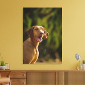 Weimaraner 3 leinwanddruck (Insitu (Wohnzimmer))