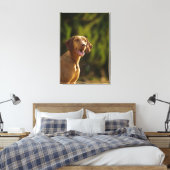 Weimaraner 3 leinwanddruck (Insitu (Schlafzimmer))
