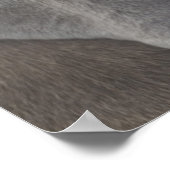 Weimaraner 3 poster (Ecke)