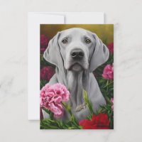 Weimaraner 3 x 5 Flat Dankeschön-Karte (Leere)