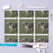 weimaraner-6 seidenpapier (Handwerk)