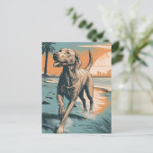 Weimaraner am Strand Postkarte (Stehend Vorderseite)