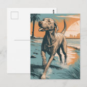 Weimaraner am Strand Postkarte (Vorne/Hinten)
