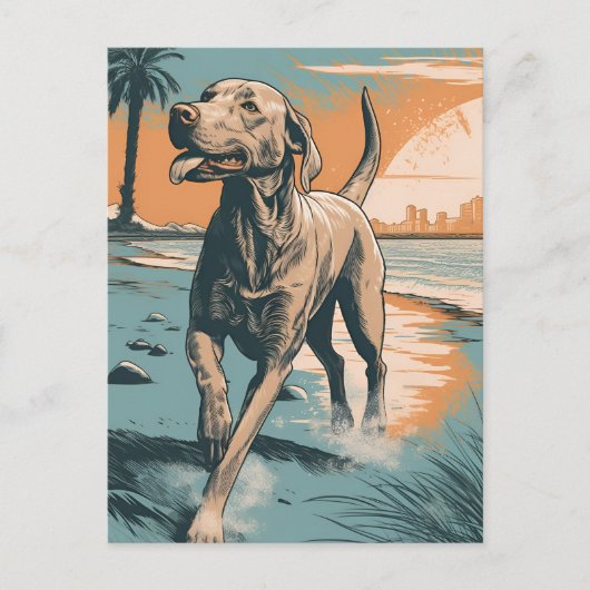 Weimaraner am Strand Postkarte (Vorderseite)