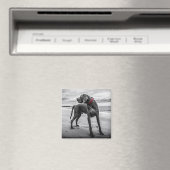 Weimaraner auf dem Beach Magnet (In Situ (Geschirrspüler))