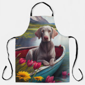 Weimaraner auf dem Paddle: Ein Landschaftliches Ab Schürze (Vorderseite)