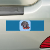 Weimaraner Autoaufkleber (Auf Auto)
