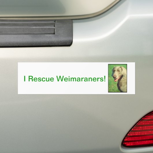 Weimaraner Autoaufkleber (Auf Auto)