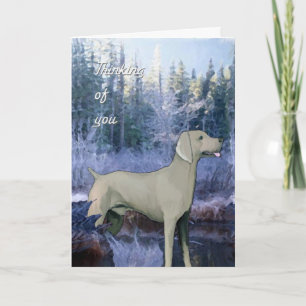 weimaraner_Beileid_card Karte