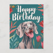 Weimaraner Birthday Postkarte (Vorderseite)