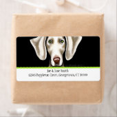 Weimaraner Black n Olive Traditionelles (Insitu)