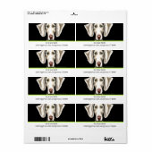 Weimaraner Black n Olive Traditionelles (Vorne)