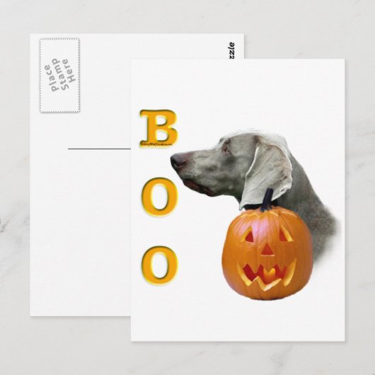 Weimaraner Boo Postkarte (Vorne/Hinten)