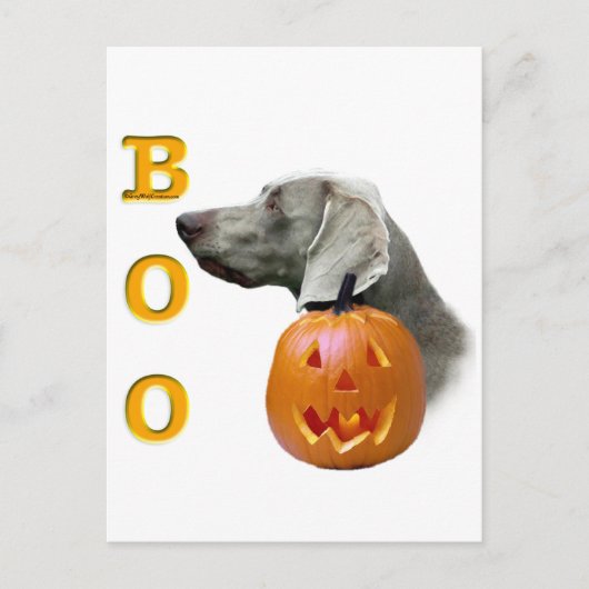 Weimaraner Boo Postkarte (Vorderseite)