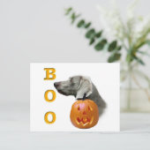 Weimaraner Boo Postkarte (Stehend Vorderseite)