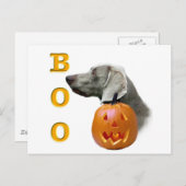 Weimaraner Boo Postkarte (Vorne/Hinten)