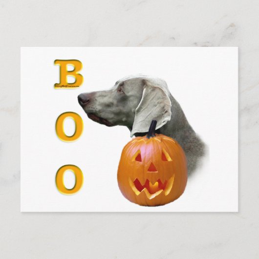 Weimaraner Boo Postkarte (Vorderseite)