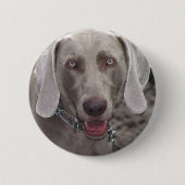 Weimaraner Button (Vorderseite)