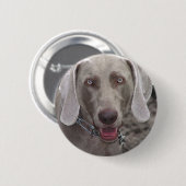 Weimaraner Button (Vorne & Hinten)