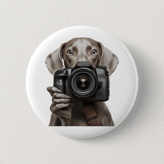 Weimaraner  button (Vorderseite)