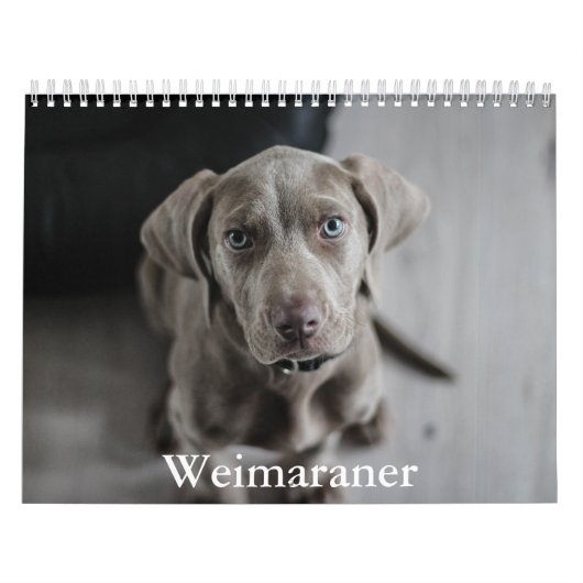 Weimaraner Calendar Kalender (Titelbild)