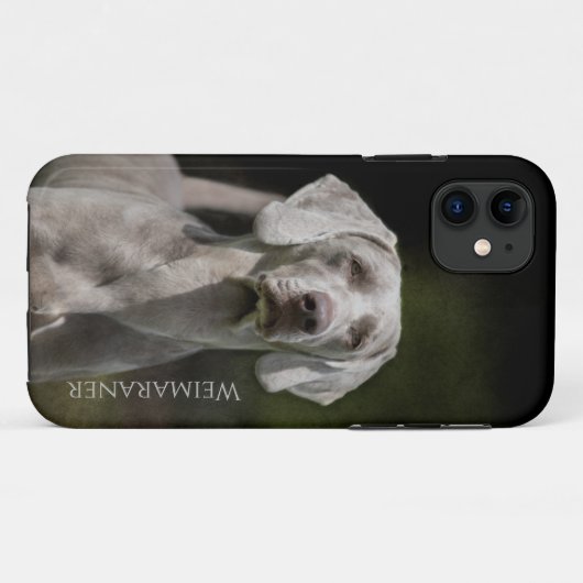 Weimaraner Case-Mate iPhone Hülle (Rückseite (Horizontal))