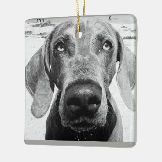 ***WEIMARANER*** CHRISMAS ORNANATION KERAMIKORNAMENT (Links)