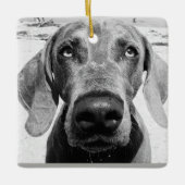 ***WEIMARANER*** CHRISMAS ORNANATION KERAMIKORNAMENT (Vorderseite)
