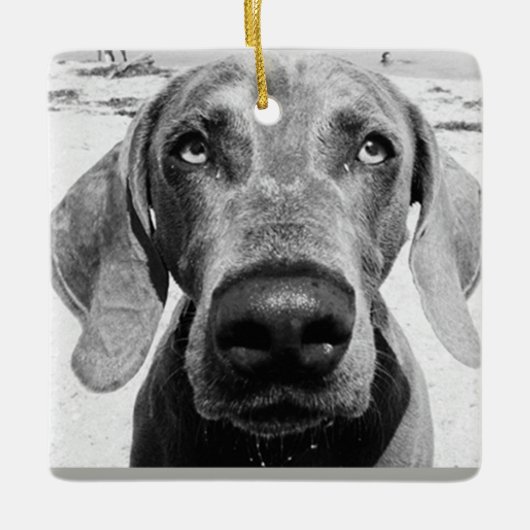 ***WEIMARANER*** CHRISMAS ORNANATION KERAMIKORNAMENT (Vorderseite)
