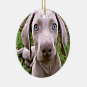 "WEIMARANER" CHRISTMAS ORNANAS KERAMIKORNAMENT (Rechts)