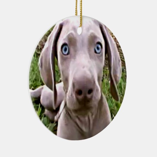 "WEIMARANER" CHRISTMAS ORNANAS KERAMIKORNAMENT (Rechts)