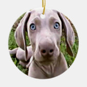 "WEIMARANER" CHRISTMAS ORNANAS KERAMIKORNAMENT (Vorne)