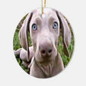 "WEIMARANER" CHRISTMAS ORNANAS KERAMIKORNAMENT (Links)