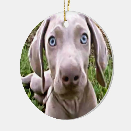 "WEIMARANER" CHRISTMAS ORNANAS KERAMIKORNAMENT (Links)