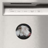 Weimaraner - Der graue Geist Magnet (In Situ (Geschirrspüler))