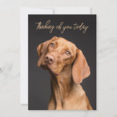 Weimaraner Dog Denken Sie an Ihre Karte (Vorderseite)