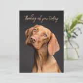 Weimaraner Dog Denken Sie an Ihre Karte (Stehend Vorderseite)