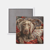 Weimaraner Dog Weihnachtsfest Magnet (Vorderseite/Rückseite)