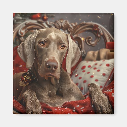 Weimaraner Dog Weihnachtsfest Magnet (Vorne)