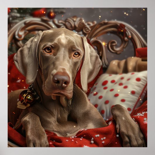 Weimaraner Dog Weihnachtsfest Poster (Vorne)