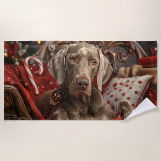 Weimaraner Dog Weihnachtsfest Strandtuch (Vorderseite)