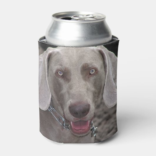 Weimaraner Dosenkühler (Kanne Vorderseite)