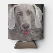 Weimaraner Dosenkühler (Vorderseite)