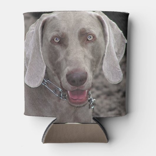 Weimaraner Dosenkühler (Vorderseite)