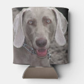 Weimaraner Dosenkühler (Rückseite)