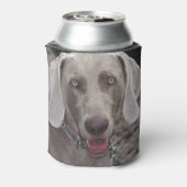 Weimaraner Dosenkühler (Kanne Rückseite)