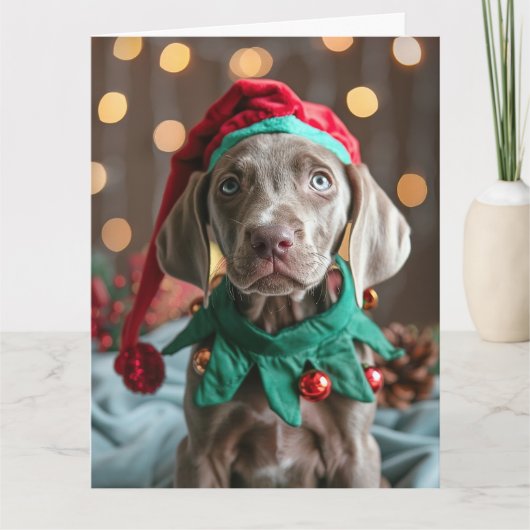 Weimaraner Elf Welppy Weihnachtskarte Karte (Vorderseite)