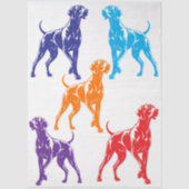 Weimaraner farbenfroh  seidenpapier (Vorderseite)